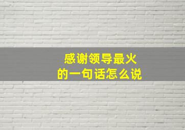 感谢领导最火的一句话怎么说