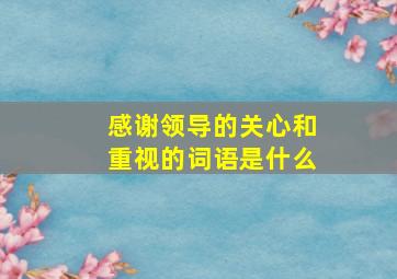 感谢领导的关心和重视的词语是什么