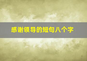 感谢领导的短句八个字