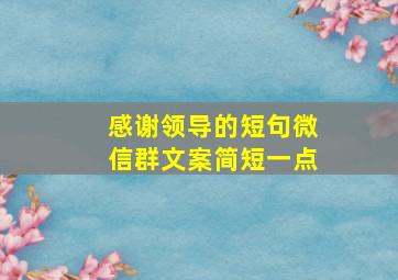 感谢领导的短句微信群文案简短一点