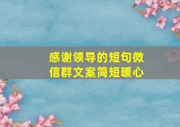 感谢领导的短句微信群文案简短暖心