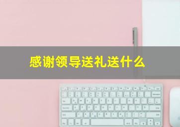 感谢领导送礼送什么