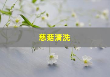 慈菇清洗