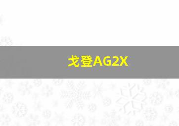 戈登AG2X