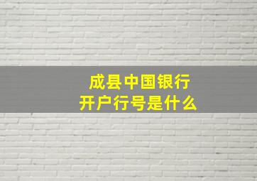 成县中国银行开户行号是什么