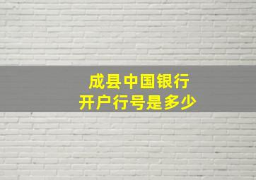 成县中国银行开户行号是多少