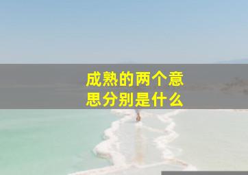 成熟的两个意思分别是什么