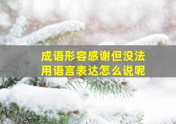 成语形容感谢但没法用语言表达怎么说呢