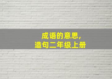 成语的意思,造句二年级上册