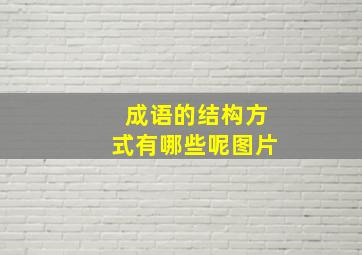 成语的结构方式有哪些呢图片