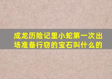 成龙历险记里小蛇第一次出场准备行窃的宝石叫什么的