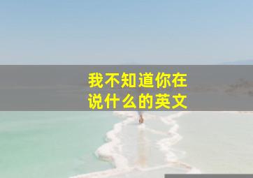 我不知道你在说什么的英文