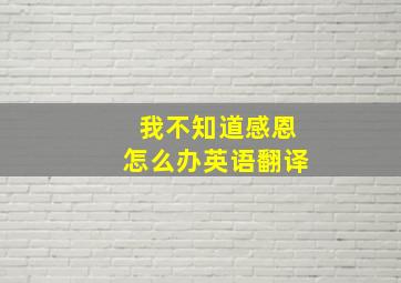 我不知道感恩怎么办英语翻译