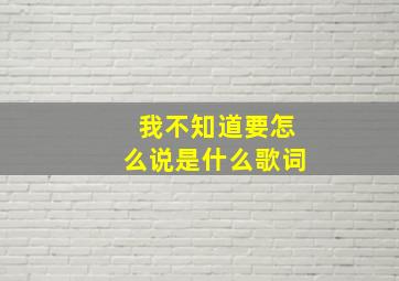 我不知道要怎么说是什么歌词