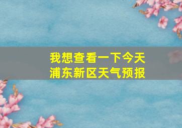 我想查看一下今天浦东新区天气预报