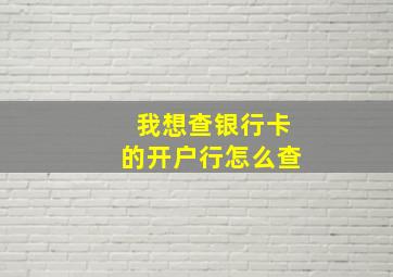 我想查银行卡的开户行怎么查