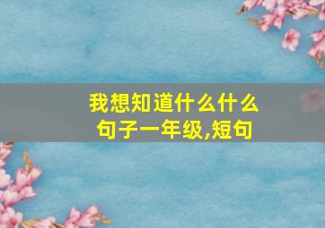 我想知道什么什么句子一年级,短句