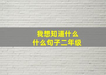 我想知道什么什么句子二年级