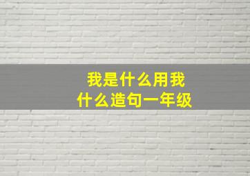 我是什么用我什么造句一年级