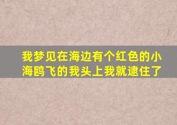 我梦见在海边有个红色的小海鸥飞的我头上我就逮住了