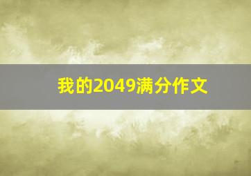 我的2049满分作文