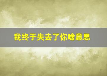 我终于失去了你啥意思