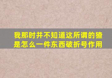 我那时并不知道这所谓的猹是怎么一件东西破折号作用