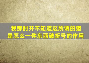 我那时并不知道这所谓的猹是怎么一件东西破折号的作用