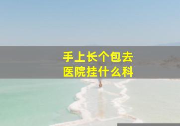 手上长个包去医院挂什么科