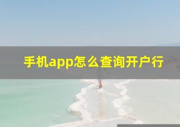 手机app怎么查询开户行