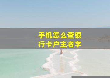 手机怎么查银行卡户主名字