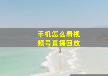 手机怎么看视频号直播回放