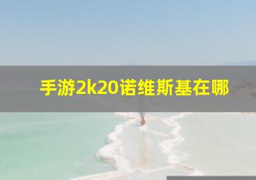 手游2k20诺维斯基在哪