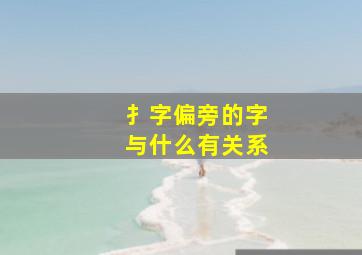 扌字偏旁的字与什么有关系