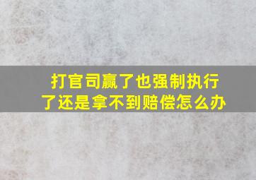 打官司赢了也强制执行了还是拿不到赔偿怎么办