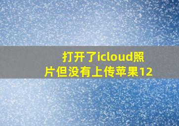 打开了icloud照片但没有上传苹果12