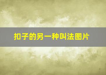 扣子的另一种叫法图片