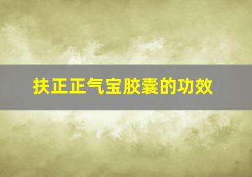 扶正正气宝胶囊的功效