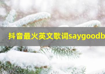 抖音最火英文歌词saygoodbye