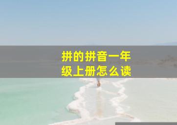 拼的拼音一年级上册怎么读