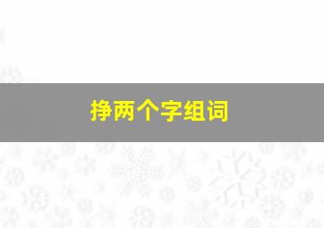 挣两个字组词