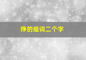 挣的组词二个字