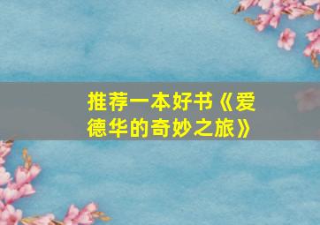 推荐一本好书《爱德华的奇妙之旅》