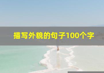 描写外貌的句子100个字