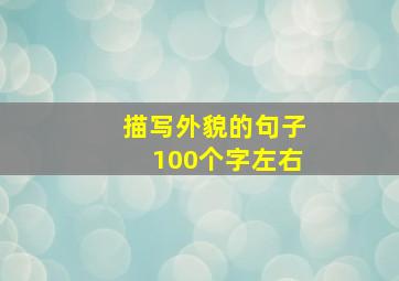 描写外貌的句子100个字左右