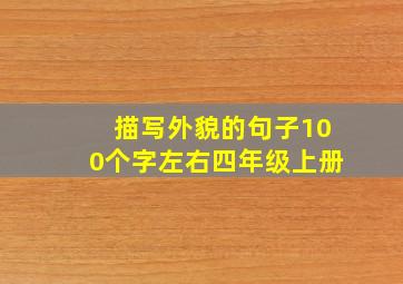 描写外貌的句子100个字左右四年级上册