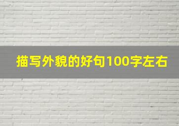 描写外貌的好句100字左右