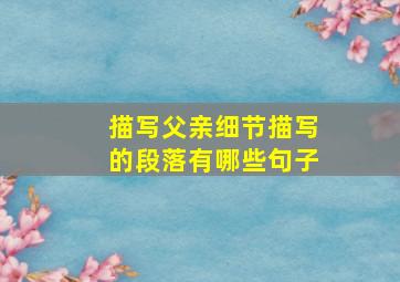 描写父亲细节描写的段落有哪些句子