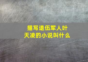 描写退伍军人叶天凌的小说叫什么