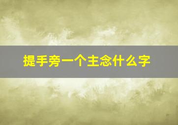 提手旁一个主念什么字